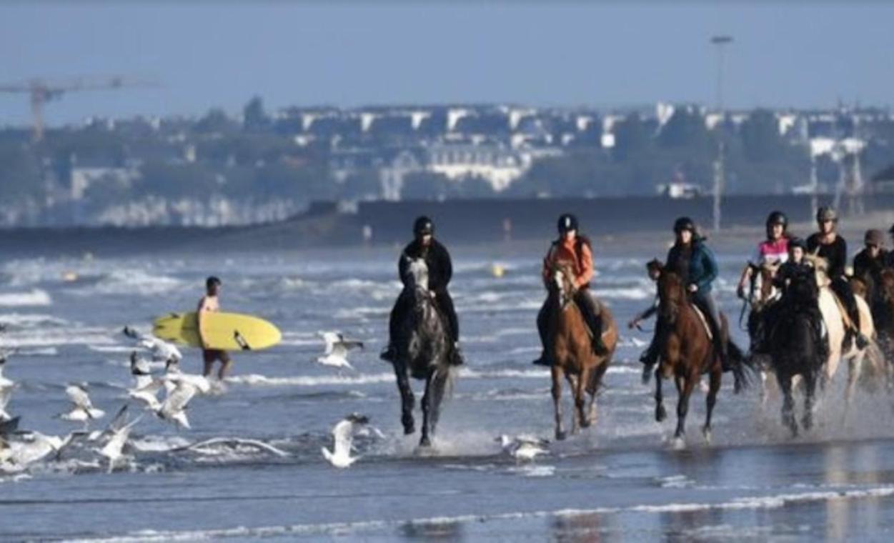 Apartmán Les Echappees Belles De L'Ocean Le Pointeau Exteriér fotografie